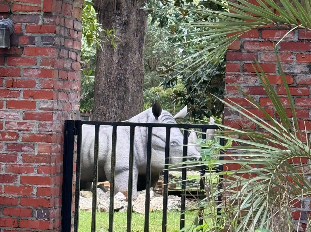 Lake Waccamaw State Park-卡罗莱纳州必去景点