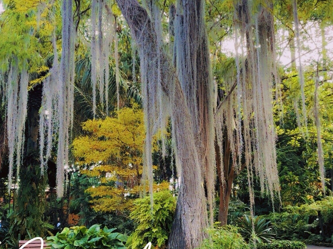 Botanischer Garten-德拉克鲁兹索尔港必去景点