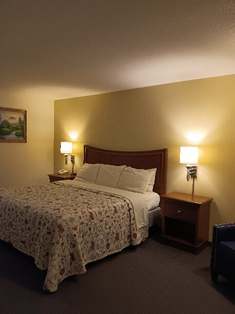 High Seas Motel主图