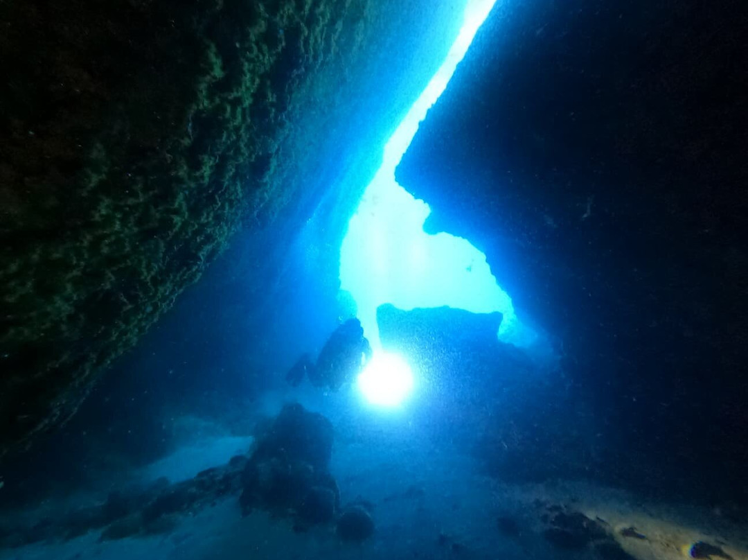 Aquatica Underwater Adventures-Aguadilla必去景点