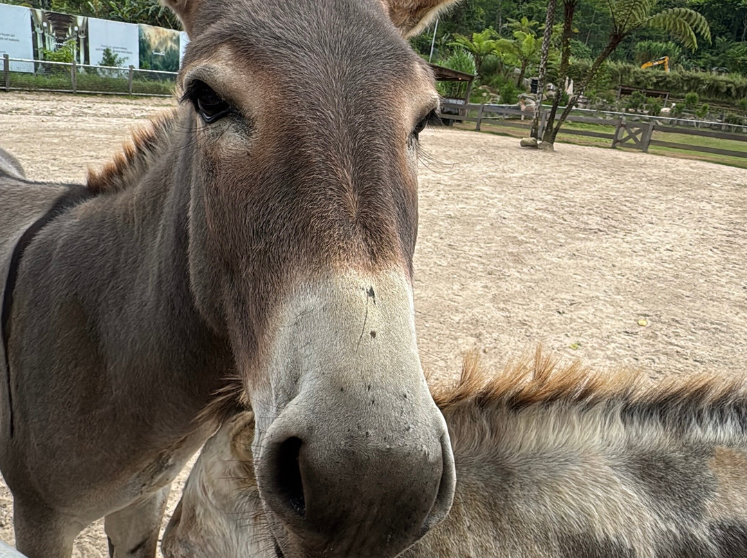 Bali Farm House-Pancasari必去景点