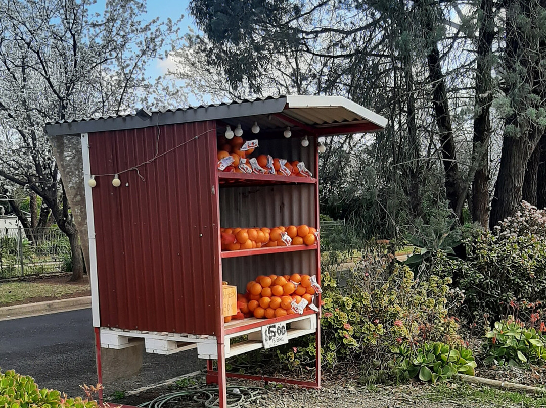 Griffith Tourism Hub-格里菲斯必去景点