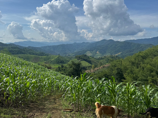 Jttt-travel-清莱必去景点