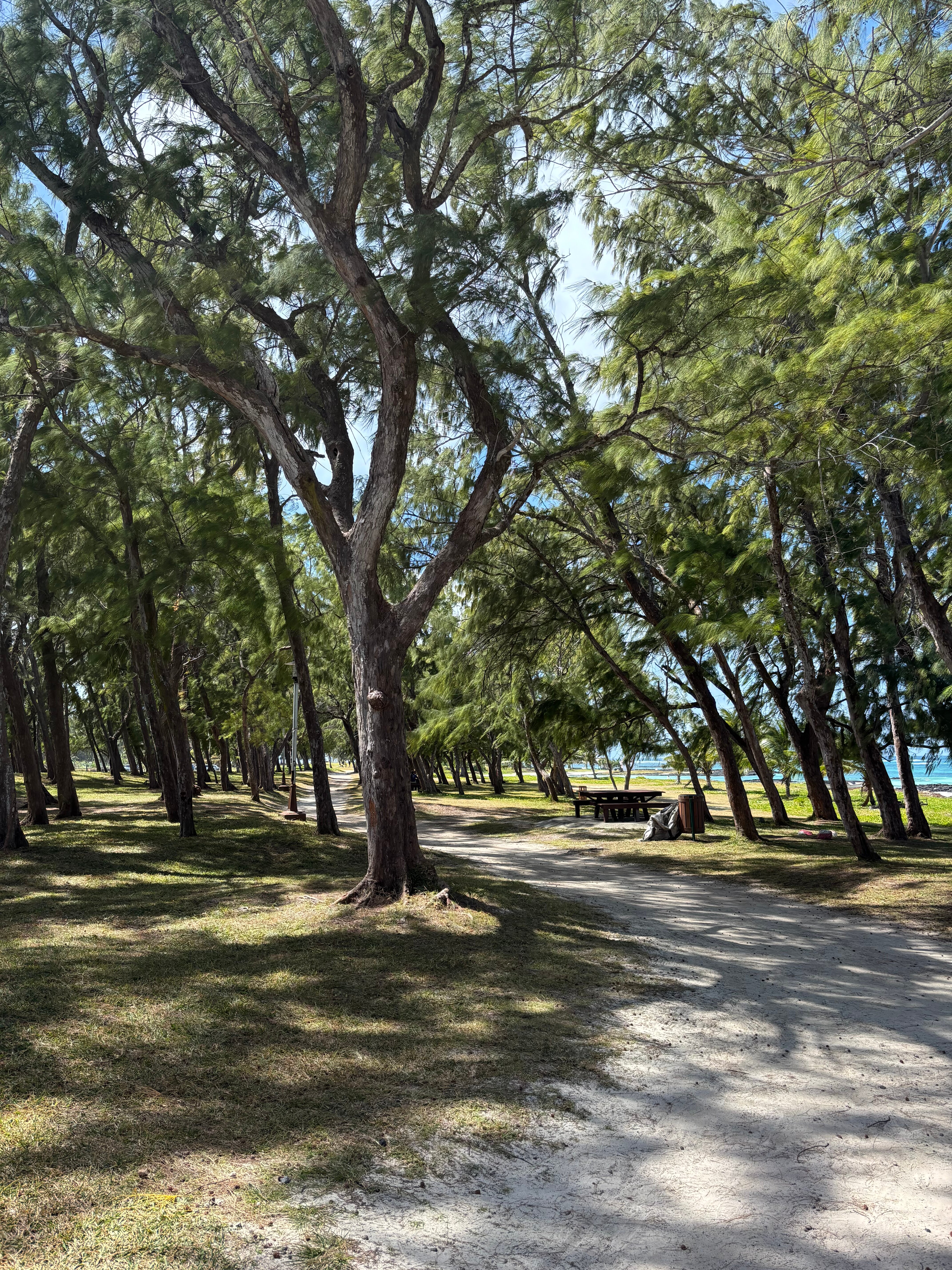 态度翡翠滩-泳池