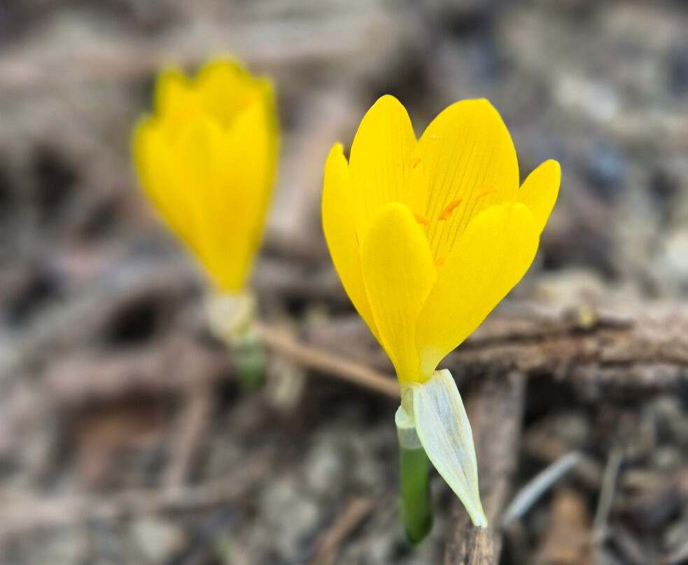 Eglise Sainte-Leocadie-Fontjoncouse必去景点