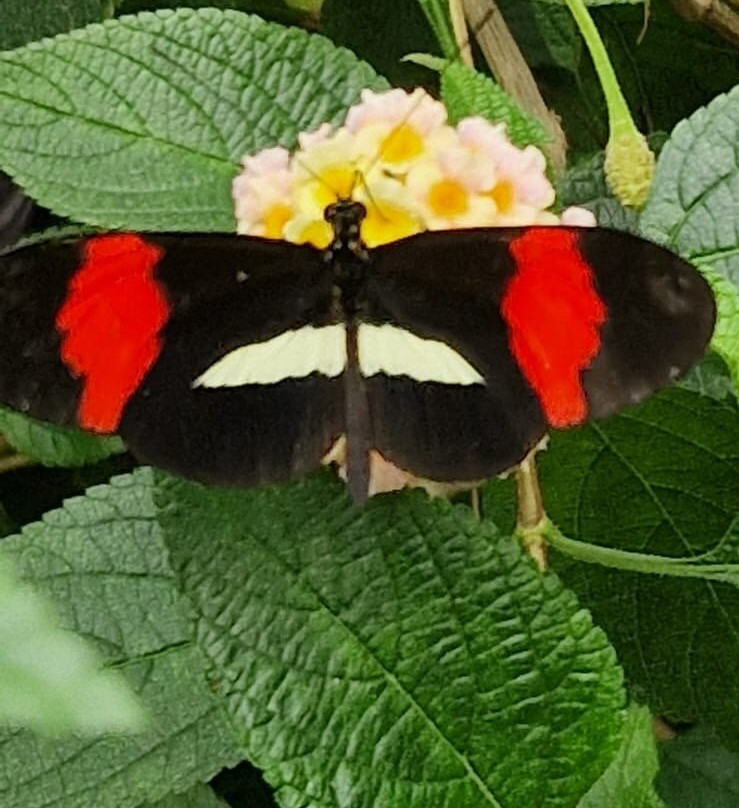 Lakeland Wildlife Oasis-Milnthorpe必去景点
