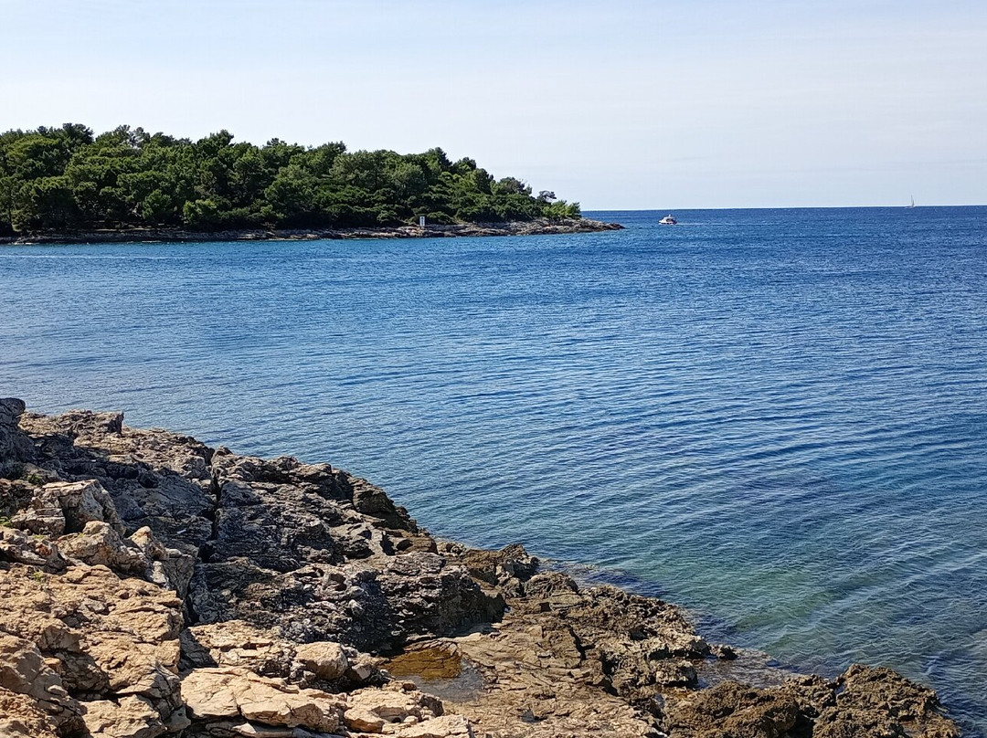 Beach Bar Splash-Pjescana Uvala必去景点