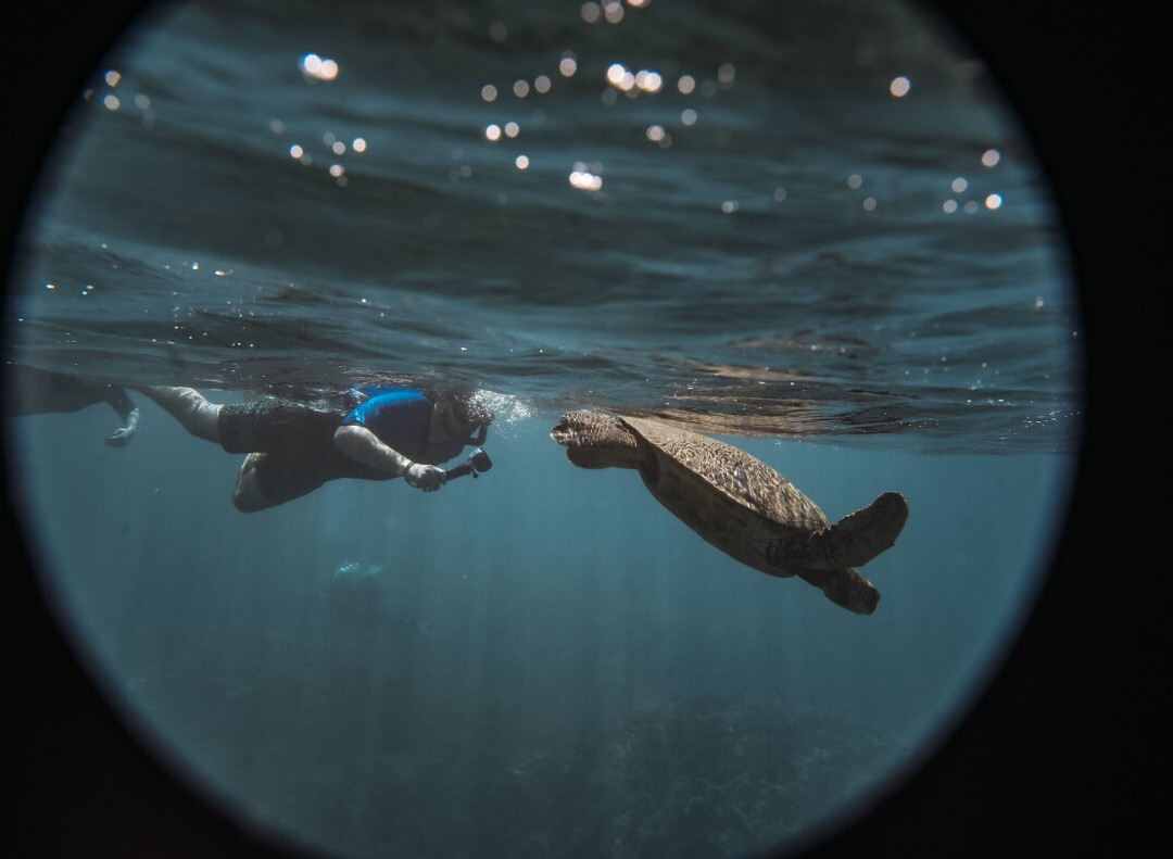 Aqua Adventures-怀露库必去景点