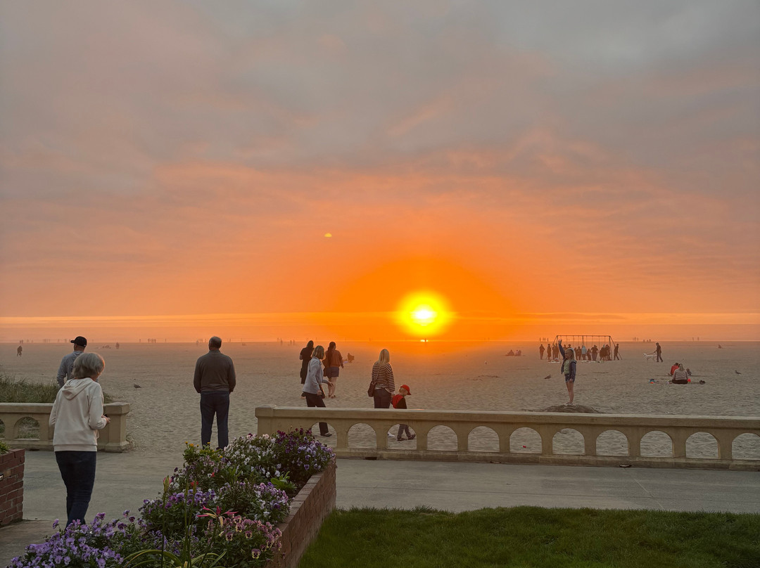 Seashore Inn on the Beach主图
