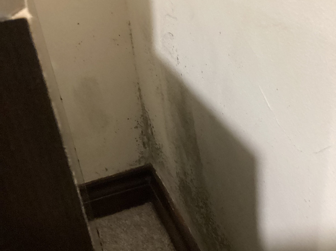 Stratton House Hotel主图