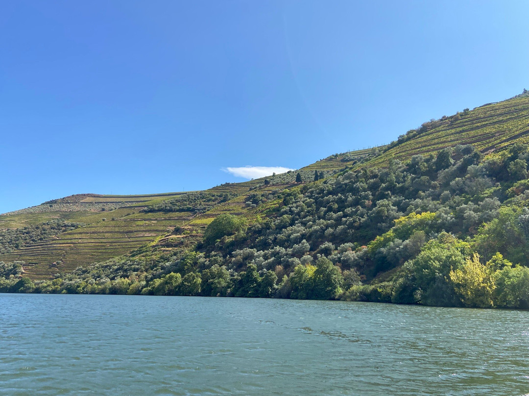 Avenida Tours Portugal - Tourguides Portugal-里斯本必去景点