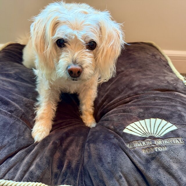 波士顿文华东方酒店-客卧