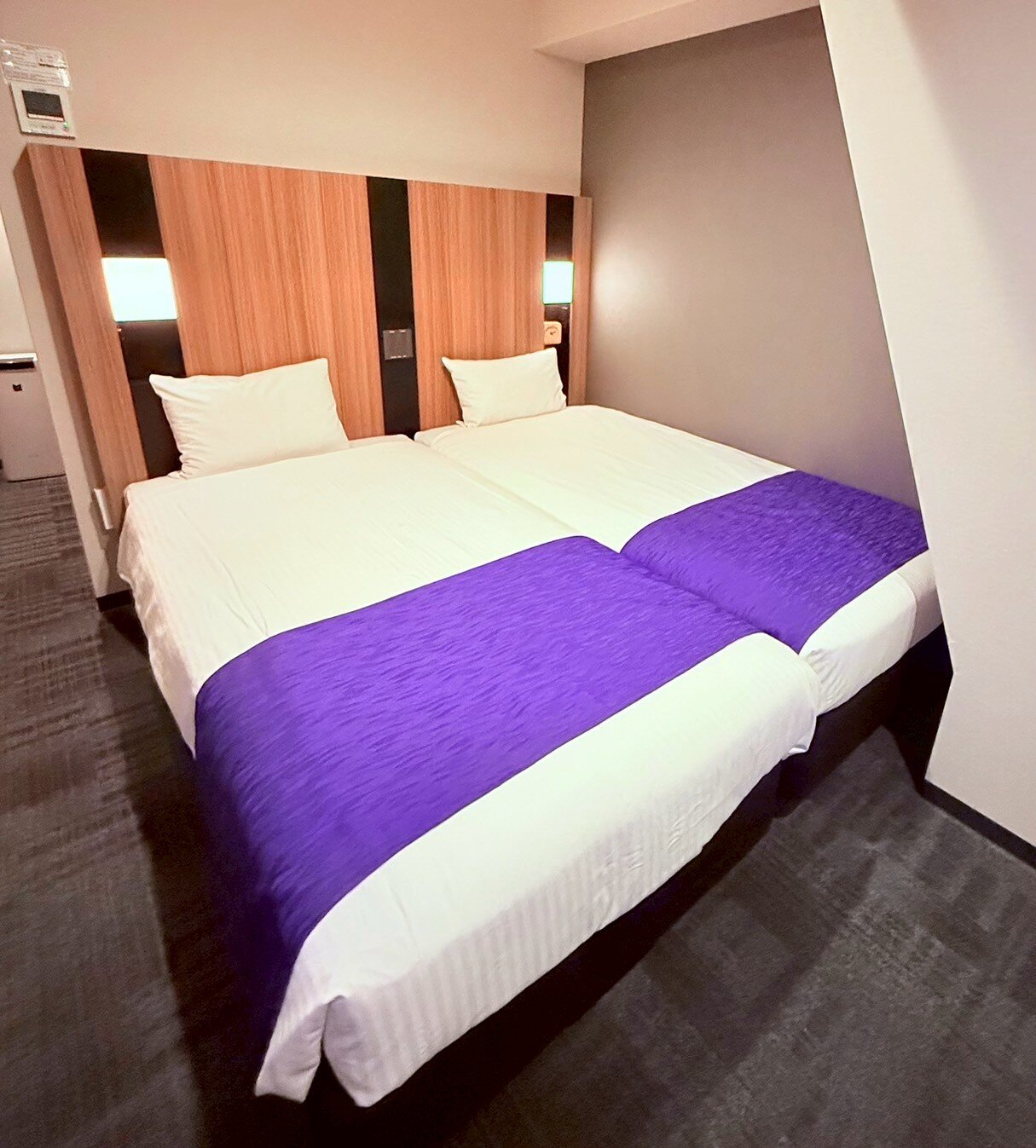 Hotel Monday Kyoto Karasuma Nijo-客卧