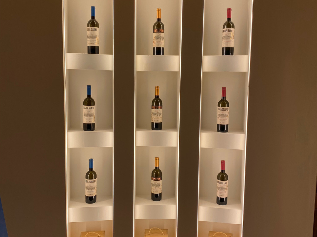 Val Di Suga-蒙塔尔奇诺必去景点