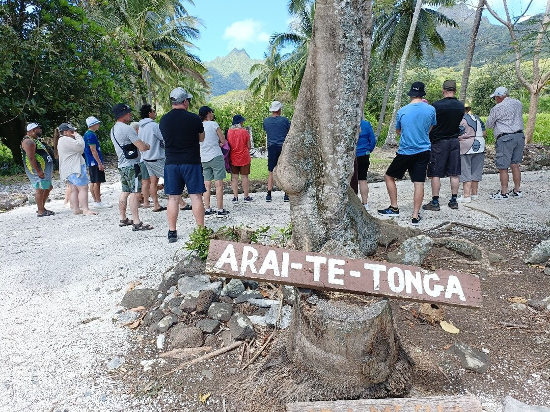 Raro Mountain Safari Tour-拉罗汤加必去景点