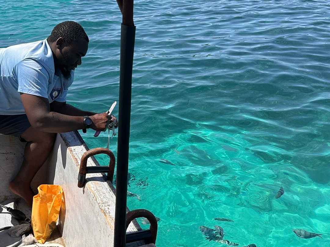 Brahim Tours Vocation Zanzibar-Kizimkazi必去景点