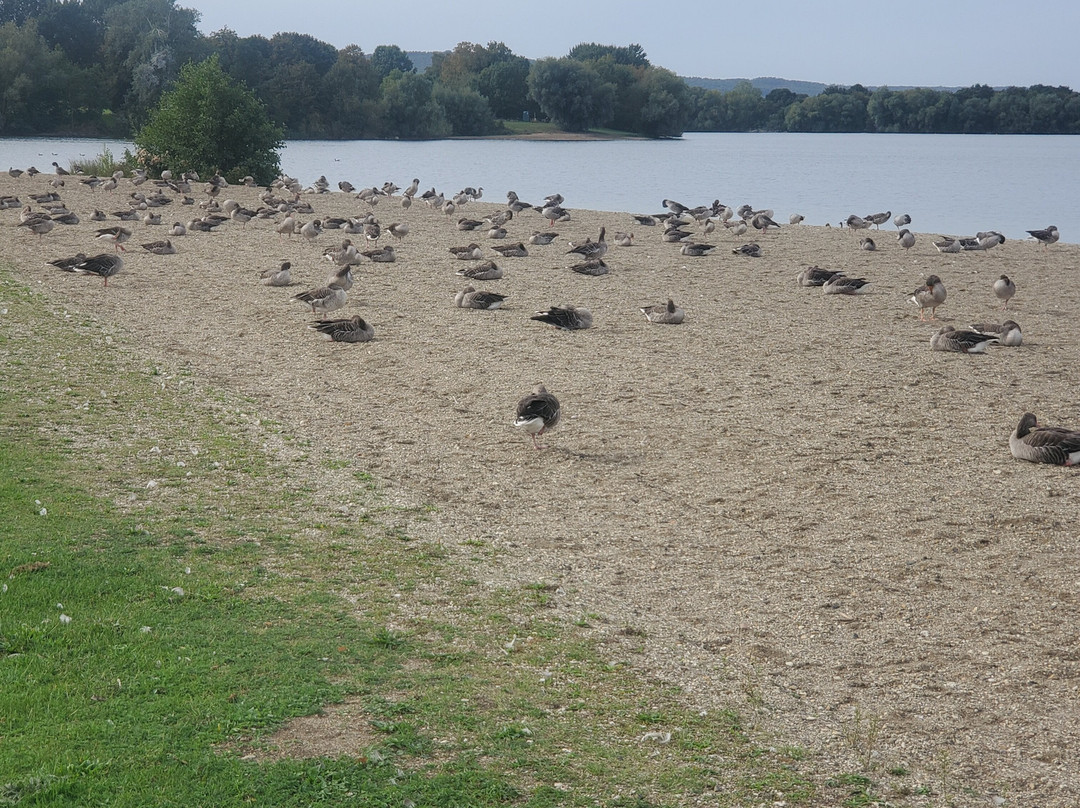 Salzgittersee-萨尔茨基特必去景点
