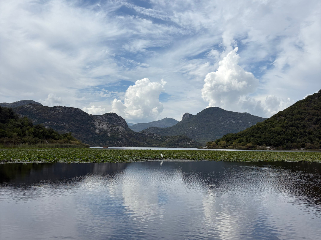 DOO PELIKAN-维尔巴札拉必去景点