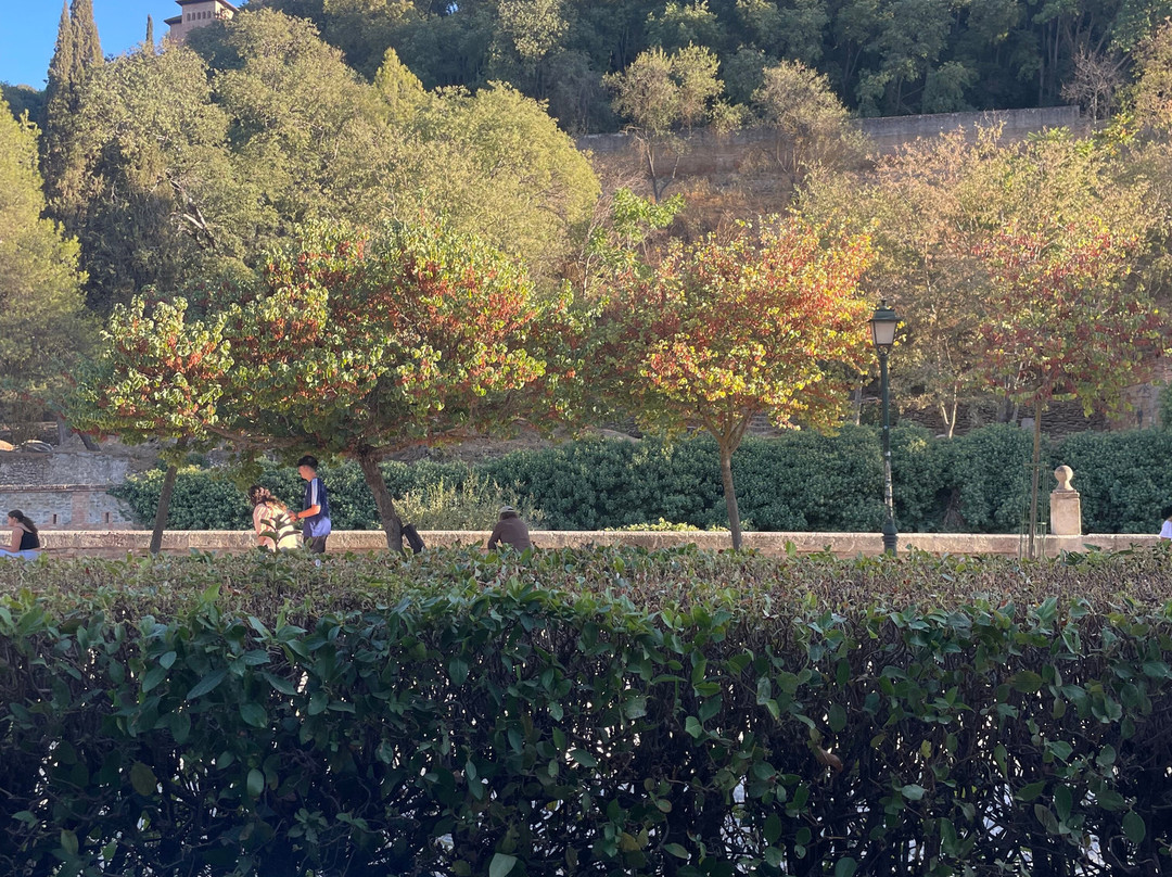 悲伤之路-格拉纳达必去景点