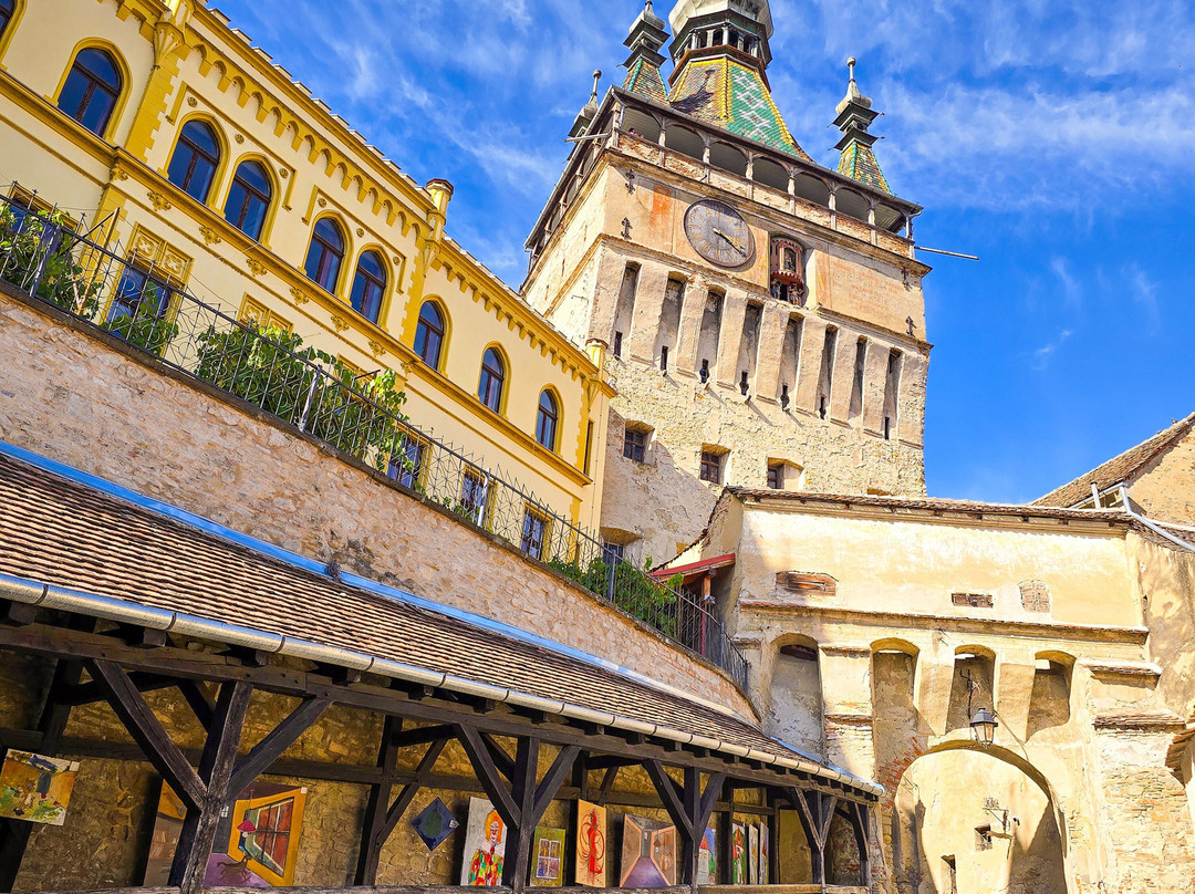 Your Guide In Transylvania - Premium Private Tours-锡吉索拉必去景点