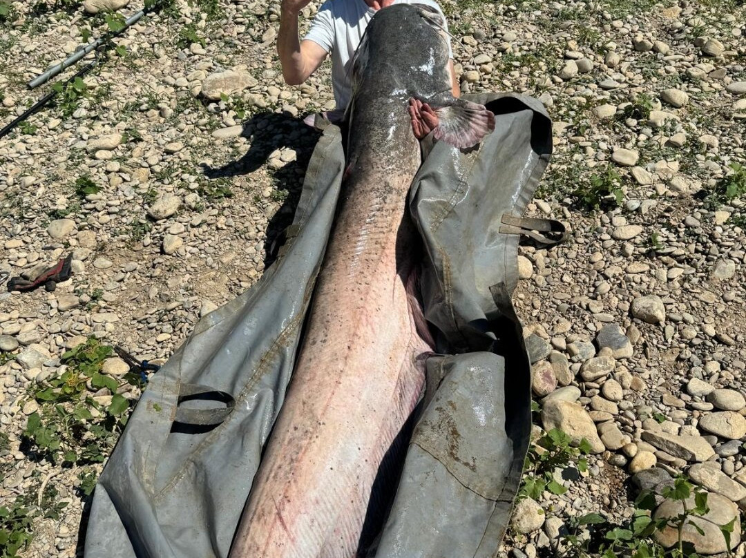 River Ebro Catfishing Holidays-Caspe必去景点