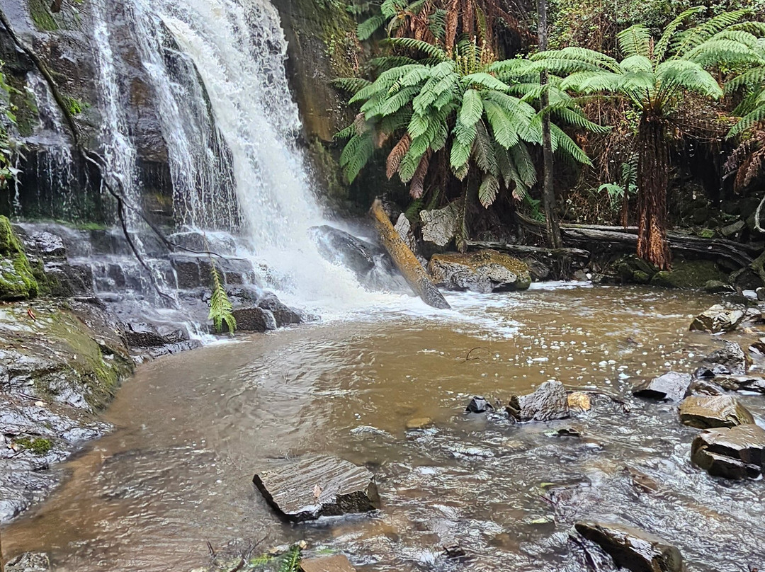 Lilydale Falls-Lilydale必去景点