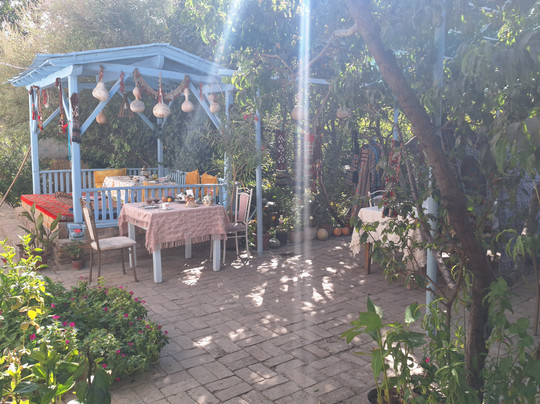 ANTICA Family Guest House主图