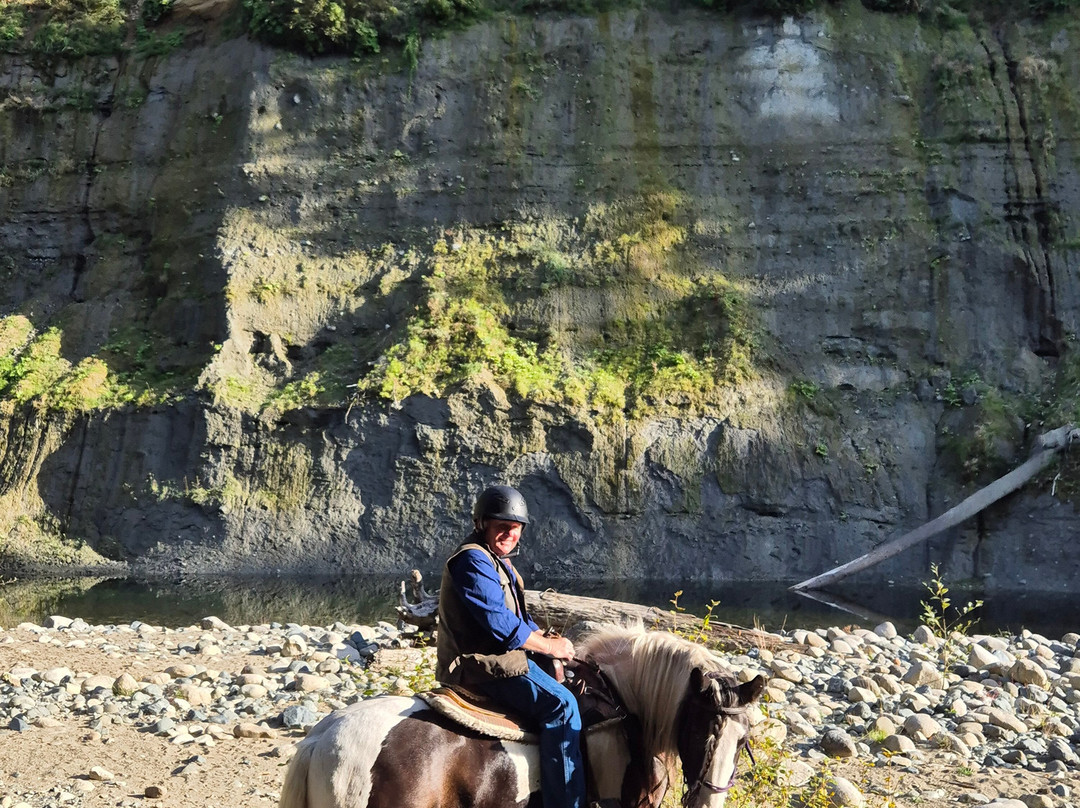 Paradise Acres Ranch-Nanoose Bay必去景点