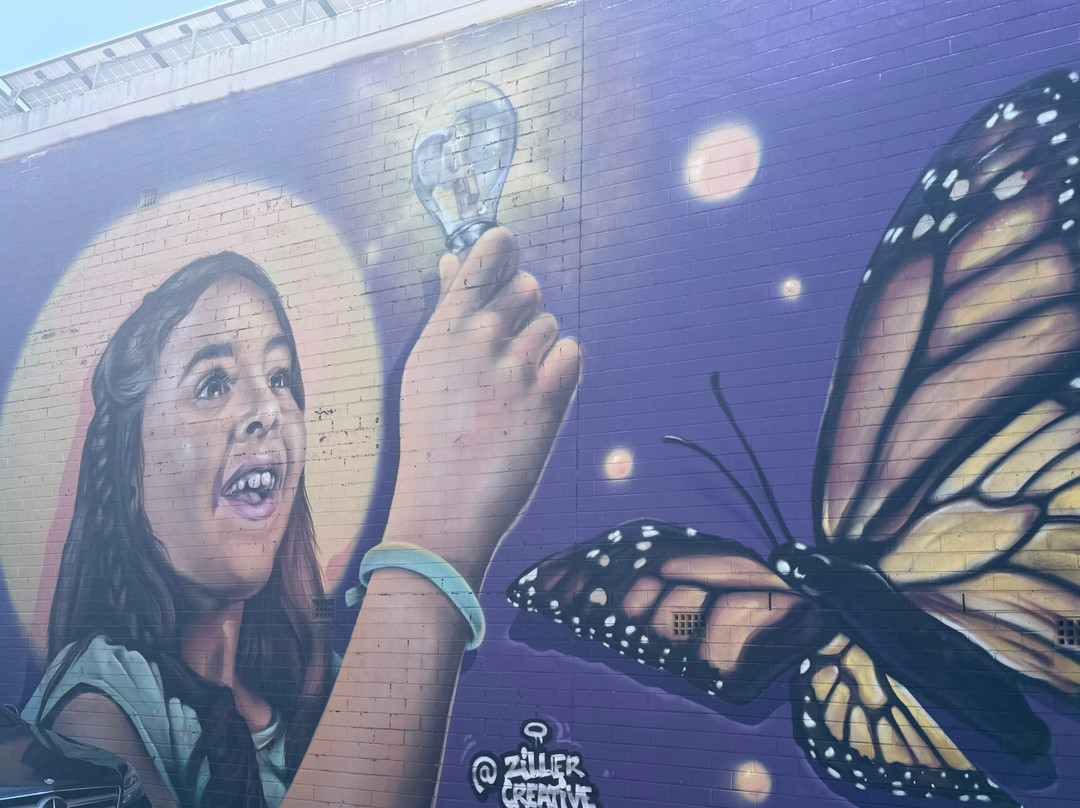 Street Art Walk - by Street Art Murals Australia-卡通巴必去景点