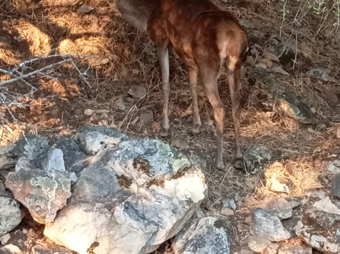 Adalberti-特鲁希略必去景点