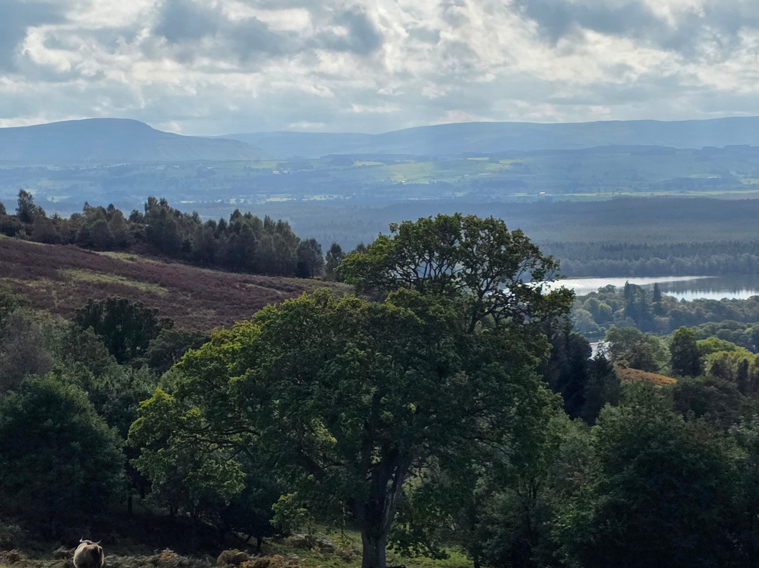 Nether Glenny Farm - Coos and Views-斯特灵必去景点