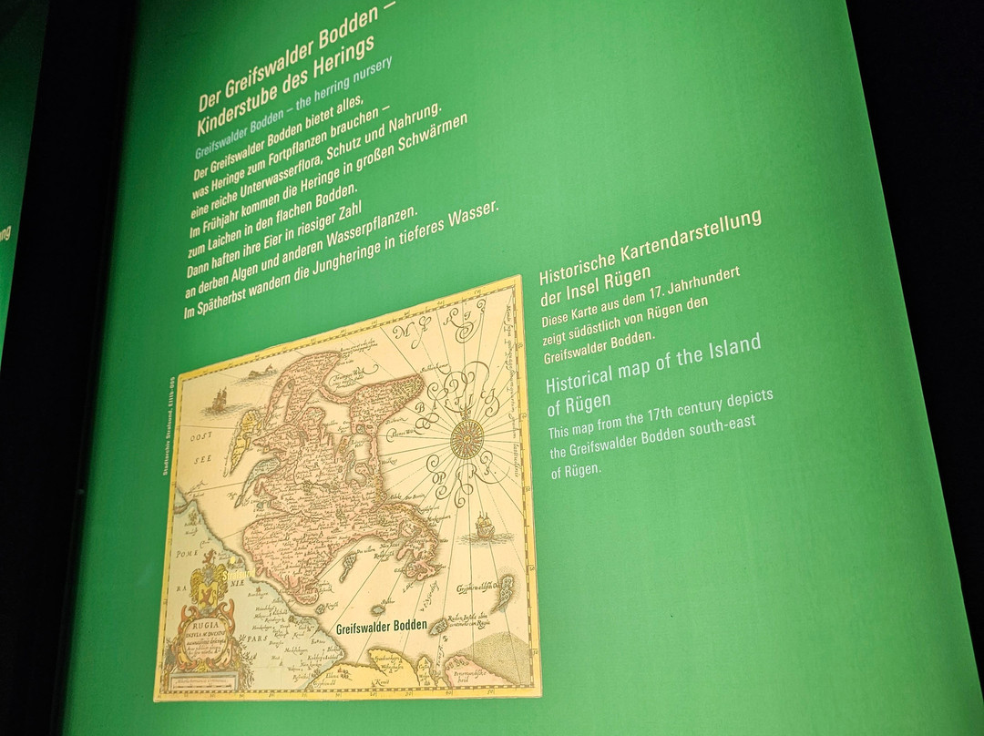 Ozeaneum-施特拉尔松德必去景点