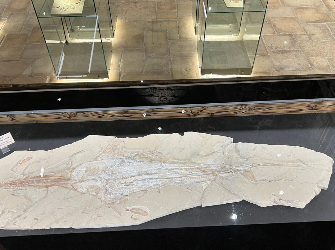 Memory of Time-朱拜勒必去景点