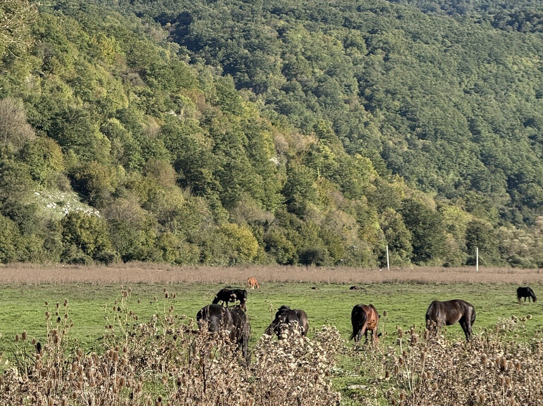 Ranch Brionna-Castel di Sangro必去景点