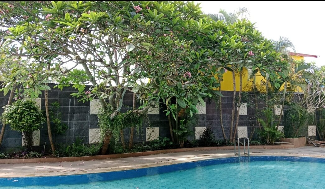 Swiss-Belhotel Merauke主图