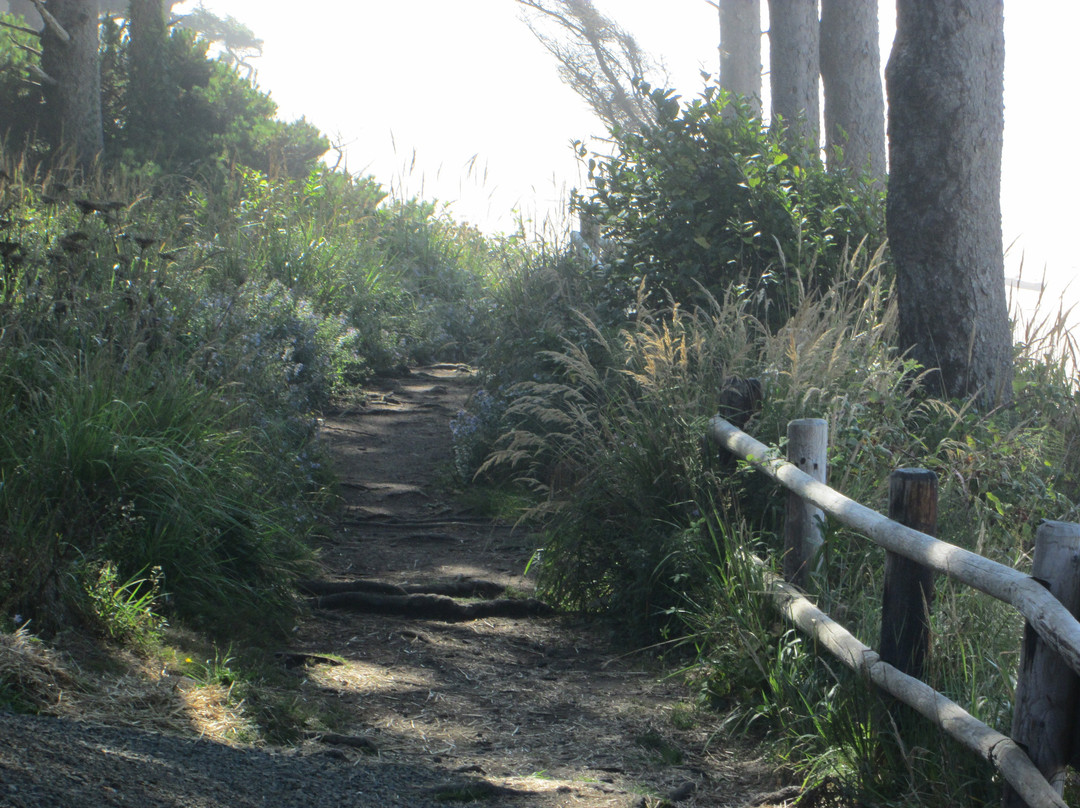 Arcadia Beach State Recreation Area-锡赛德必去景点