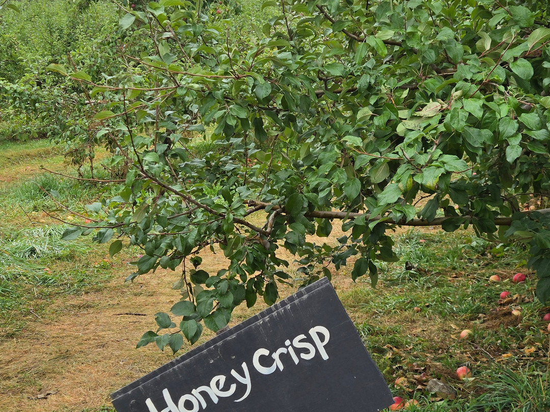 Thompson's Orchards-New Gloucester必去景点