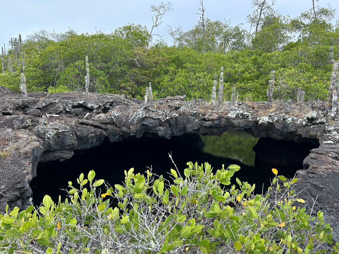 Isabela Island-伊莎贝拉岛必去景点