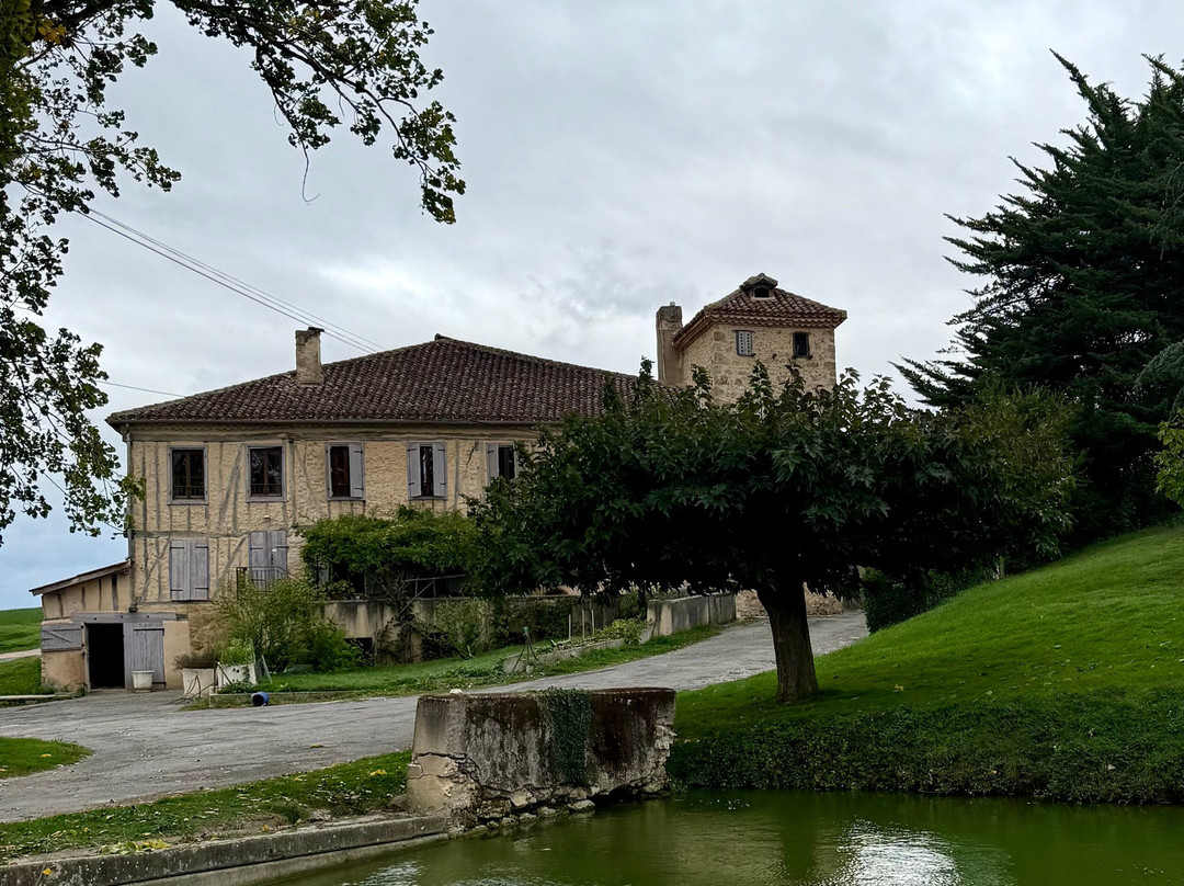 Domaine de La Higuere , Vignobles Esquiro-Mirepoix必去景点
