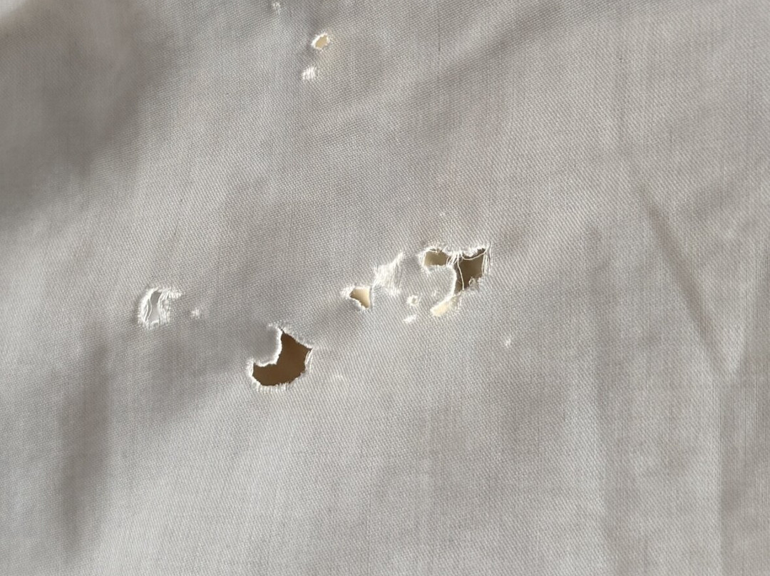 Gray Plaza West Frankfort