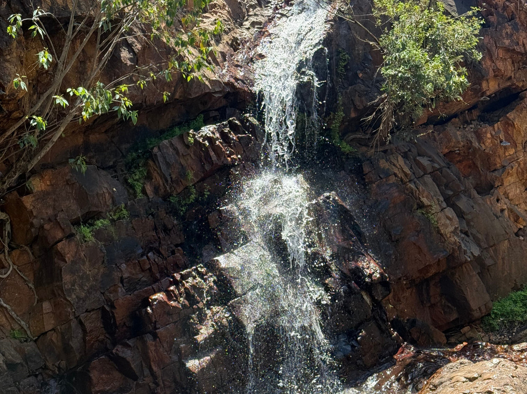 Molly Springs-库努纳拉必去景点