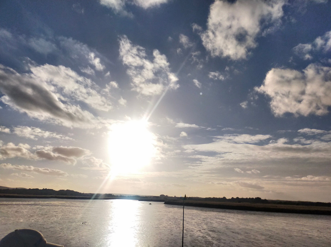 Birds Of Poole Harbour Events-普尔必去景点