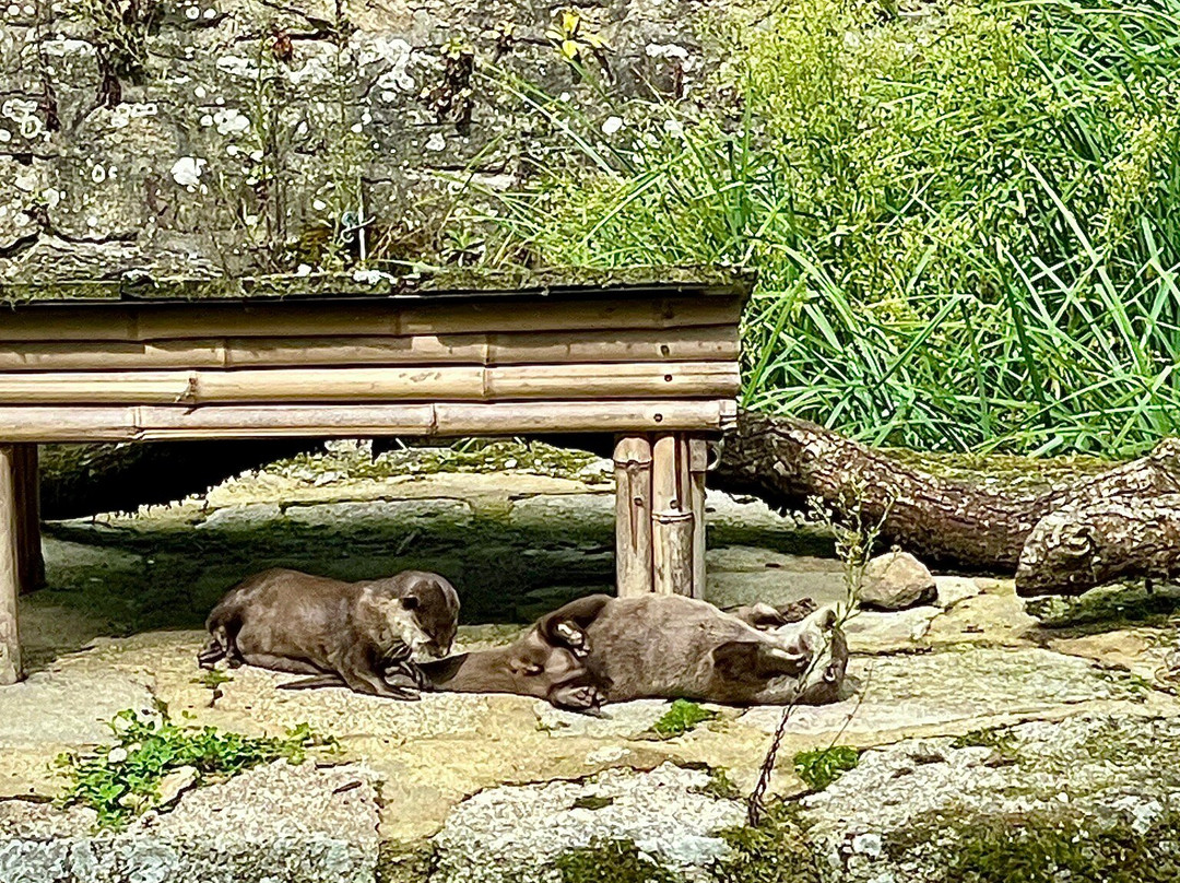 Parc Animalier et Botanique de Branféré-Le Guerno必去景点