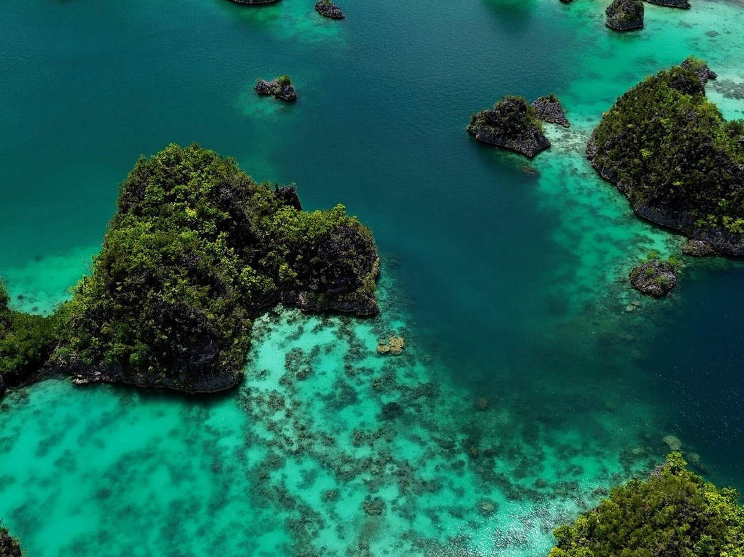 Raja Ampat Dive Trips-Arborek必去景点