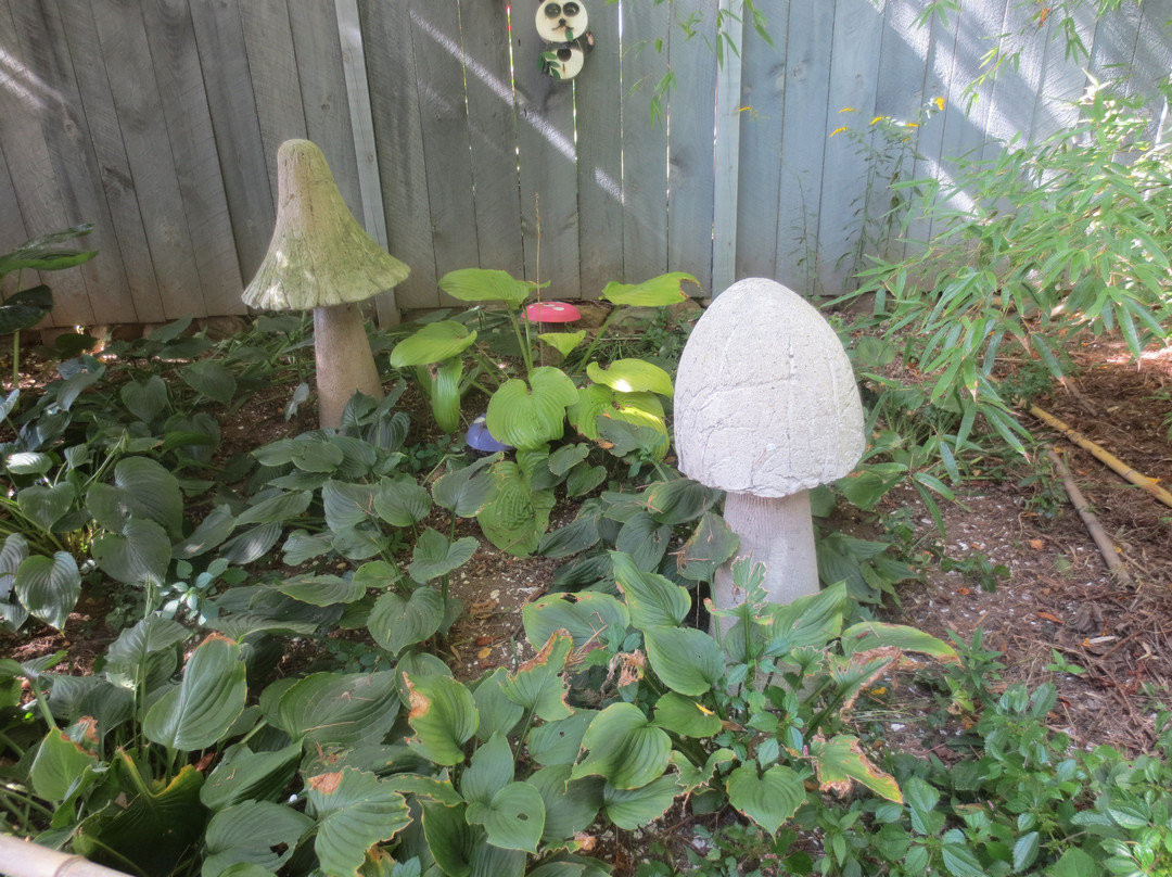 Fantastic Umbrella Factory-Charlestown必去景点