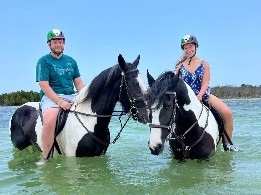 Royal Stable Zanzibar-米查维必去景点