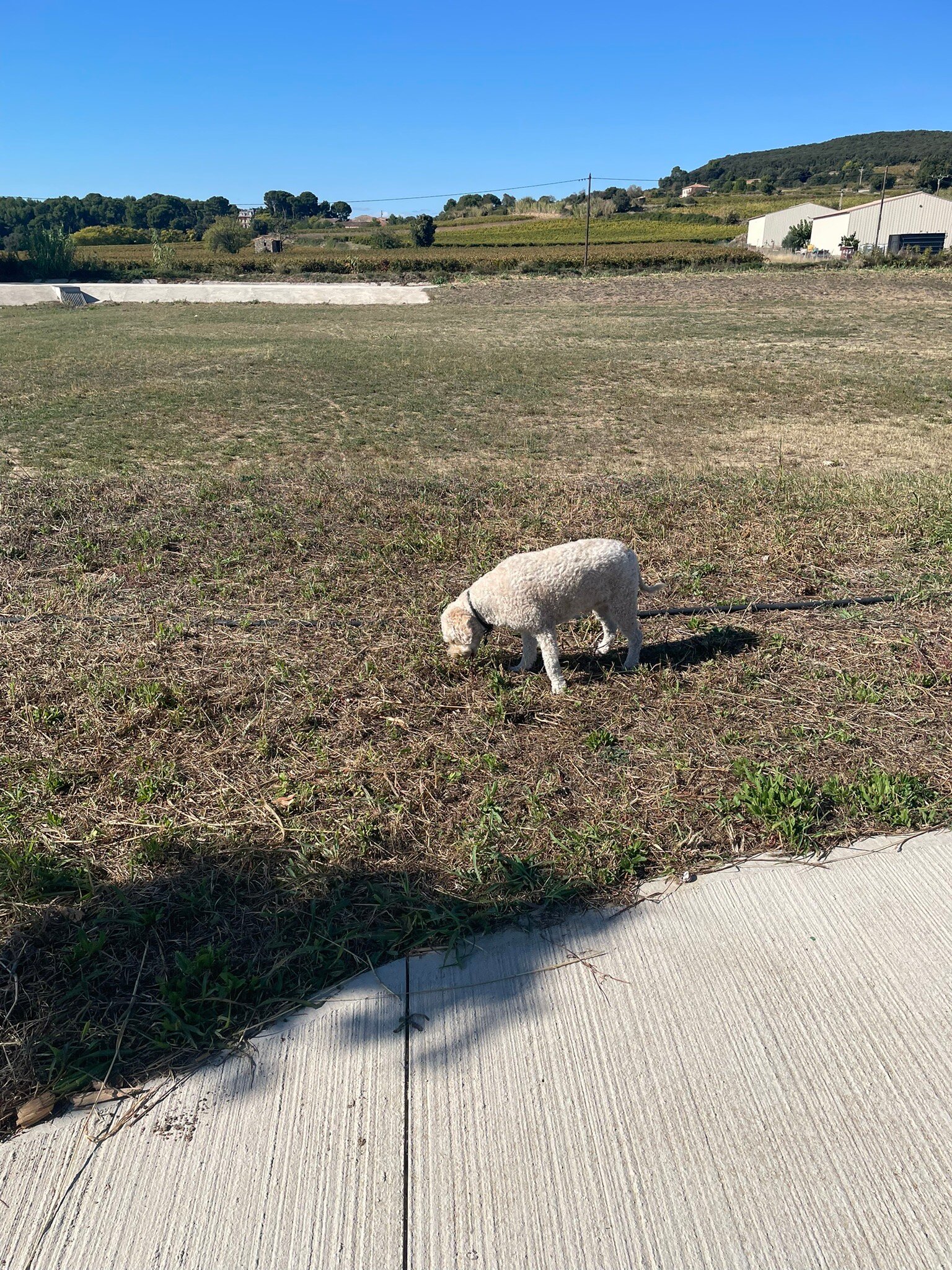 凡尔赛巴黎西部美居酒店-官方