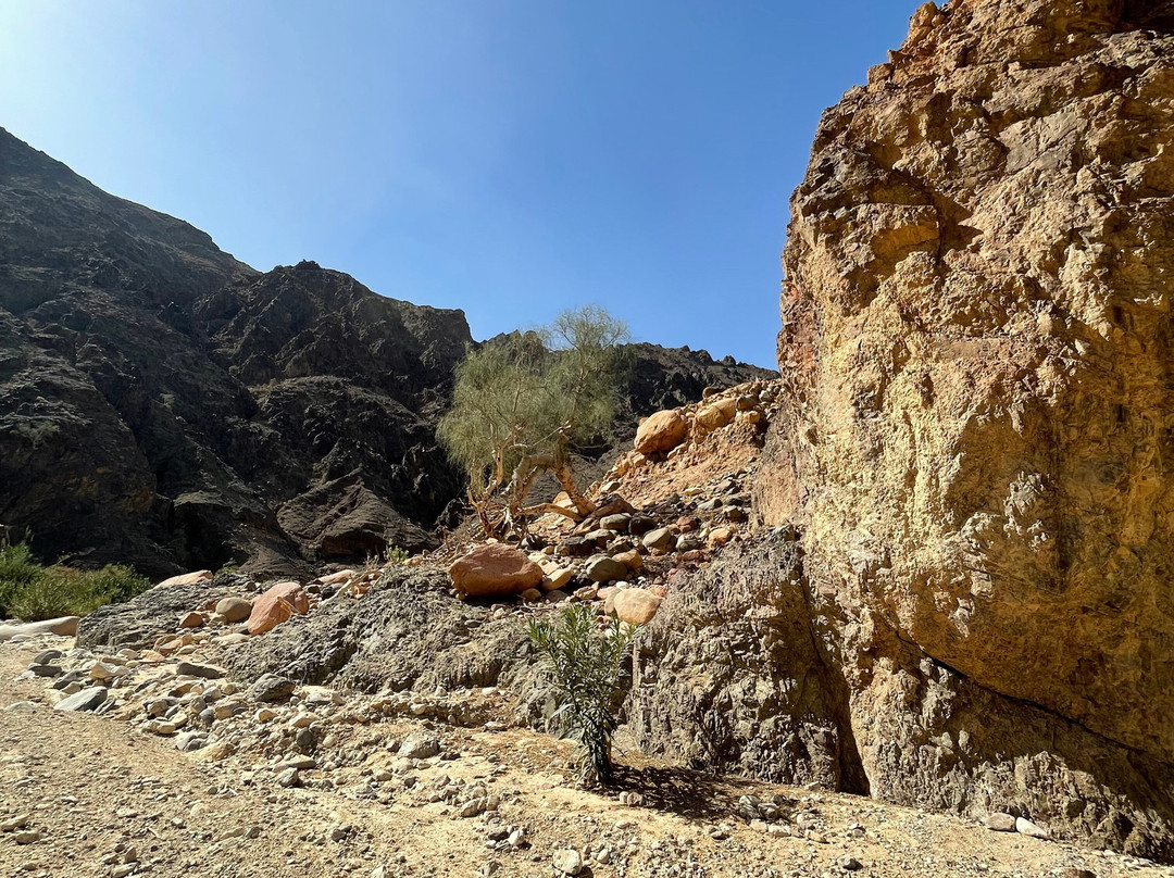 Jordan Trail Adventures-Dana必去景点