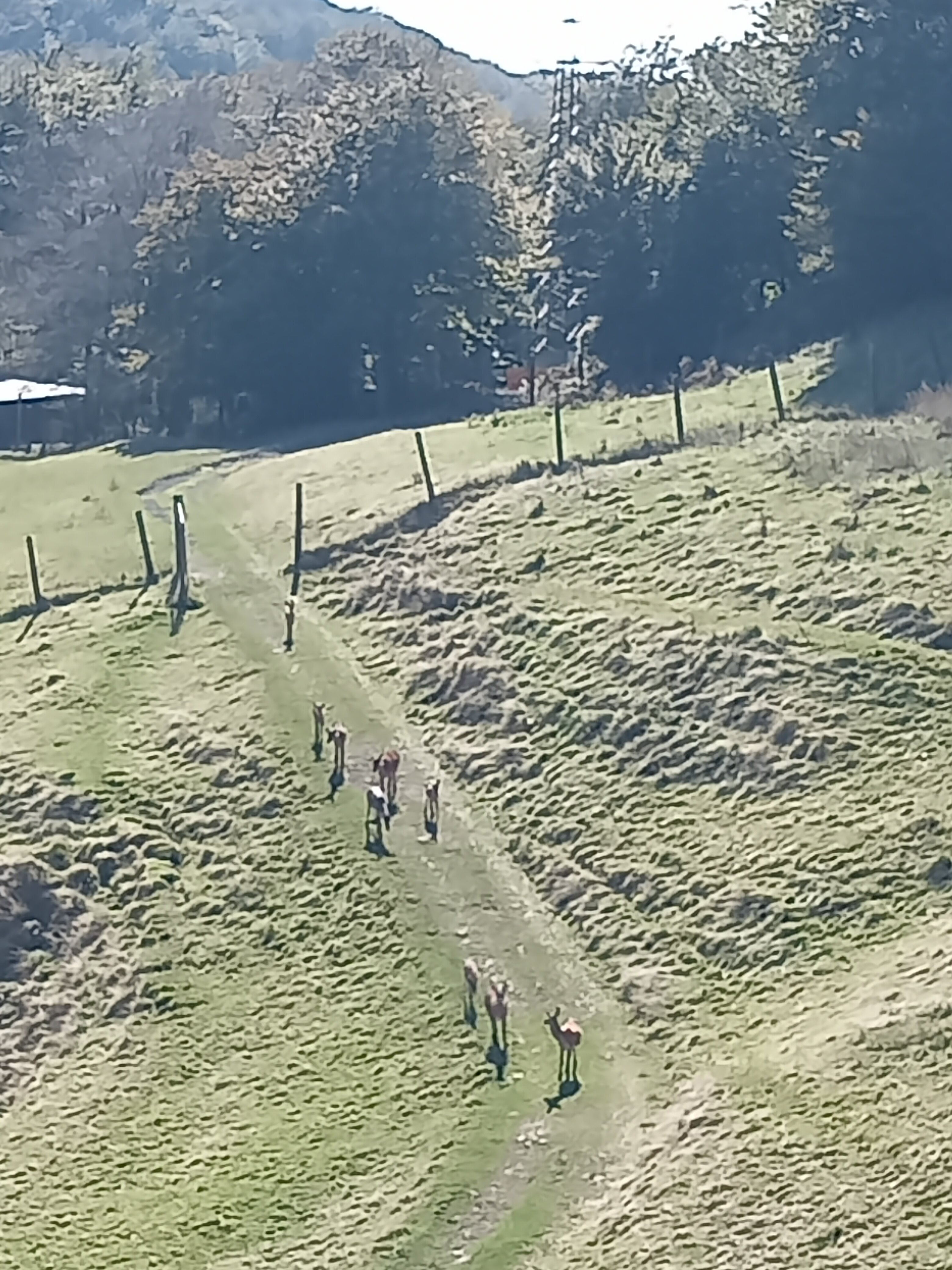 Venta de Ulzama-官方