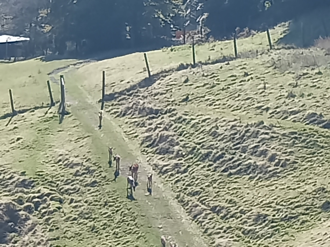 Venta de Ulzama主图